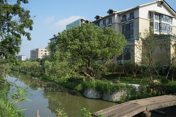 1731204087409830.png image.png